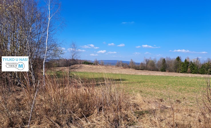 działka na sprzedaż - Łagów, Sędek