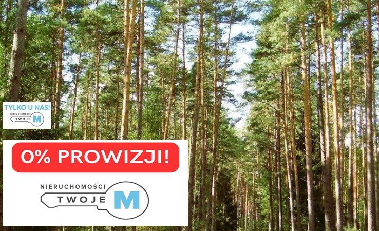 działka na sprzedaż - Chmielnik, Sędziejowice