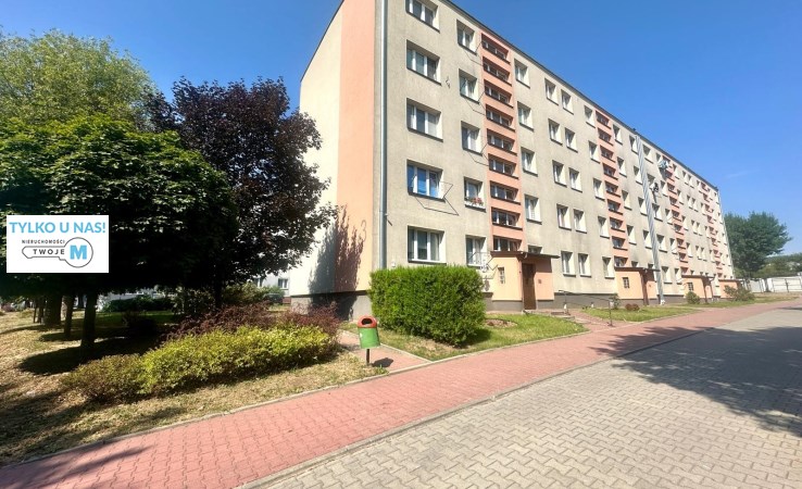 mieszkanie na sprzedaż - Sitkówka-Nowiny