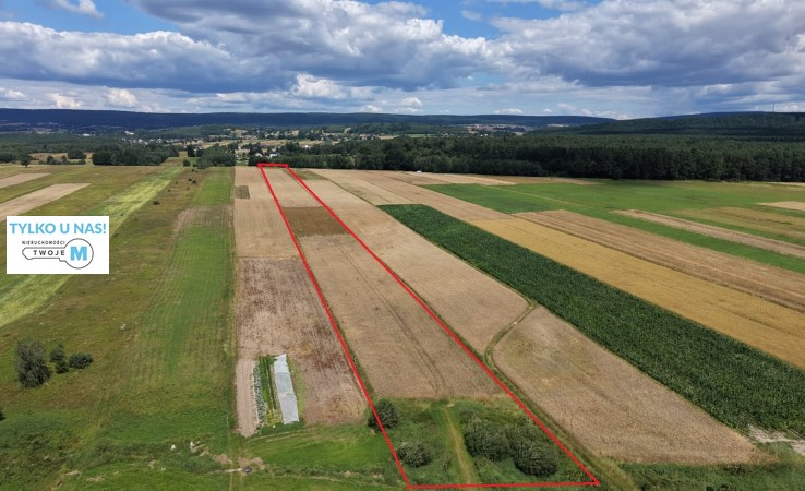 działka na sprzedaż - Bieliny, Belno